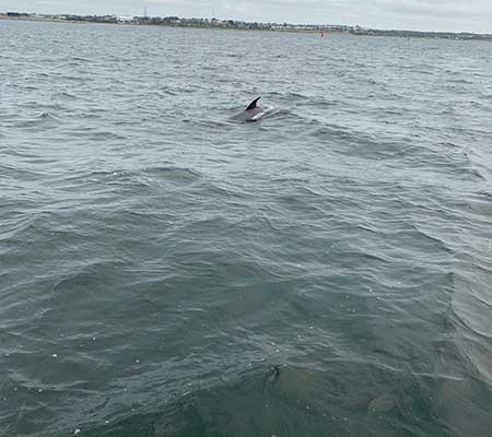 Sailing & Powerboating Inclusion Day 2025